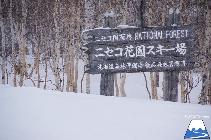 ニセコマウンテンリゾート グラン・ヒラフ　粉雪と千歳ワイナリーの美味しいワインに酔う♪